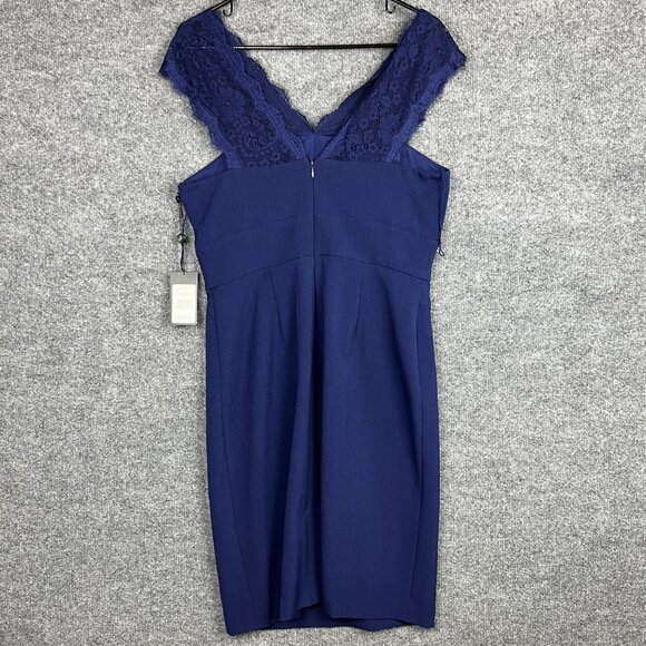 NEW ADRIANA PAPELL Lace Illusion Sleeveless Deep V Neck Dress SZ 10 - Picture 2 of 9